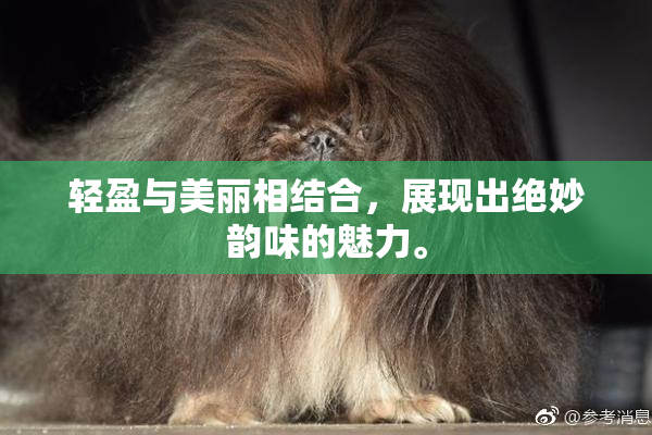 轻盈与美丽相结合，展现出绝妙韵味的魅力。
