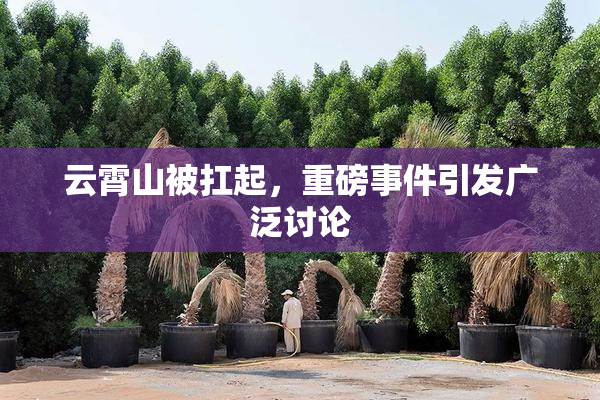 云霄山被扛起，重磅事件引发广泛讨论
