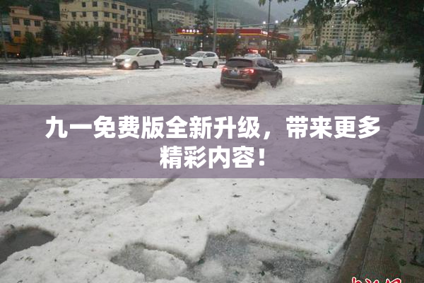 九一免费版全新升级，带来更多精彩内容！