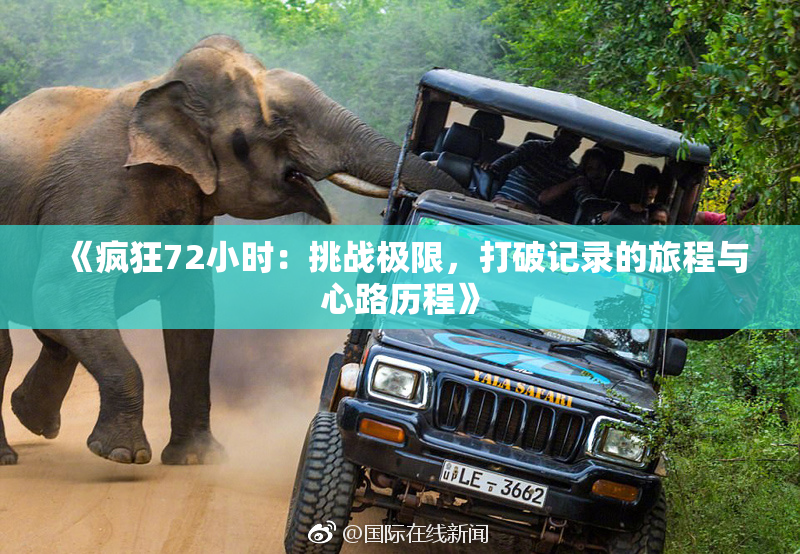 《疯狂72小时：挑战极限，打破记录的旅程与心路历程》