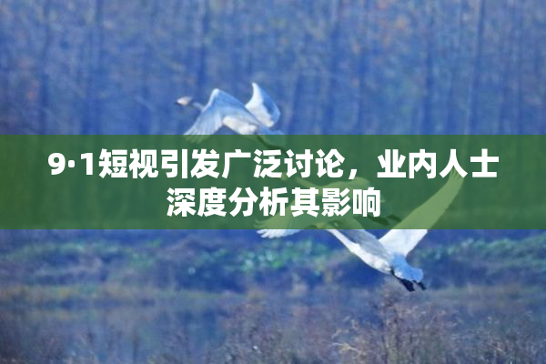 9·1短视引发广泛讨论，业内人士深度分析其影响