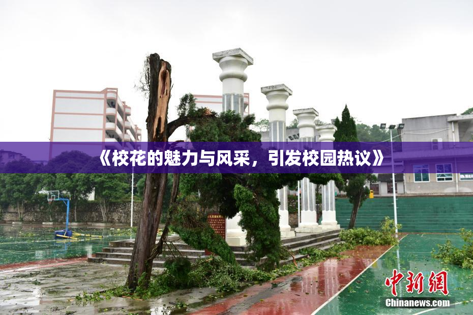 《校花的魅力与风采，引发校园热议》