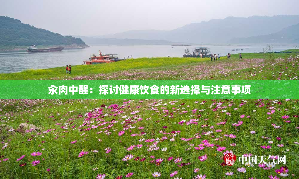 汆肉中醒：探讨健康饮食的新选择与注意事项