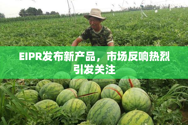 EIPR发布新产品，市场反响热烈引发关注