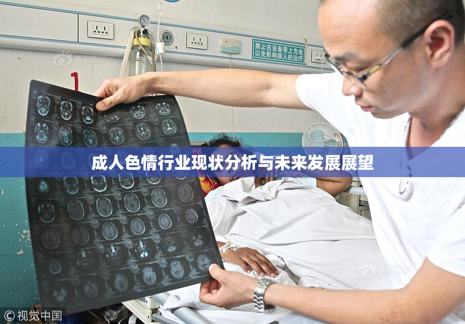 成人色情行业现状分析与未来发展展望