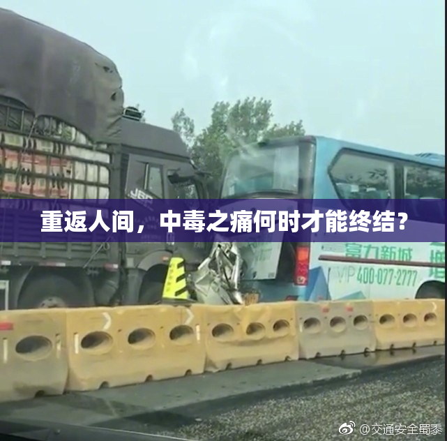 重返人间，中毒之痛何时才能终结？