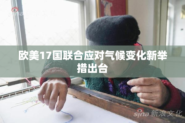 欧美17国联合应对气候变化新举措出台