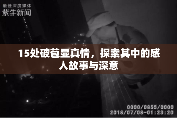 15处破苞显真情，探索其中的感人故事与深意