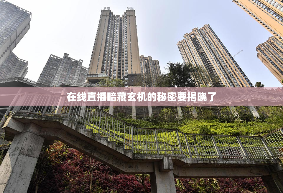 在线直播暗藏玄机的秘密要揭晓了
