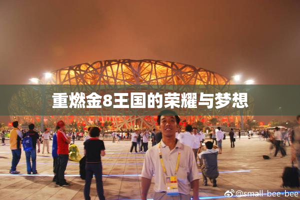 重燃金8王国的荣耀与梦想