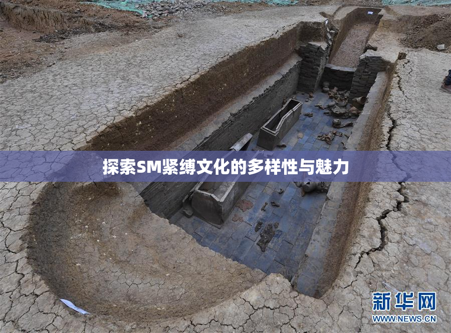 探索SM紧缚文化的多样性与魅力
