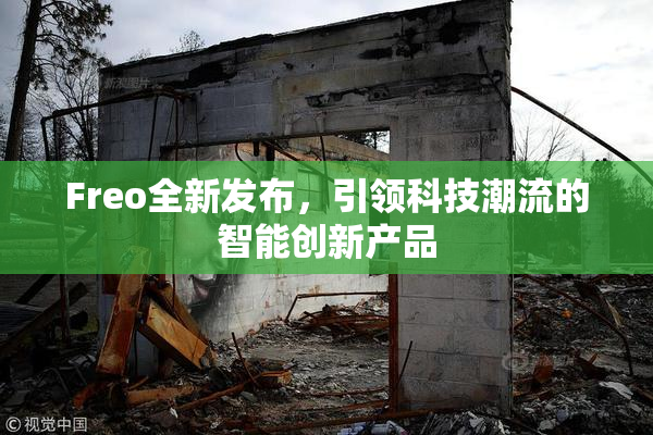 Freo全新发布，引领科技潮流的智能创新产品