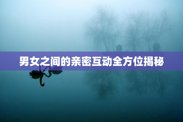 男女之间的亲密互动全方位揭秘