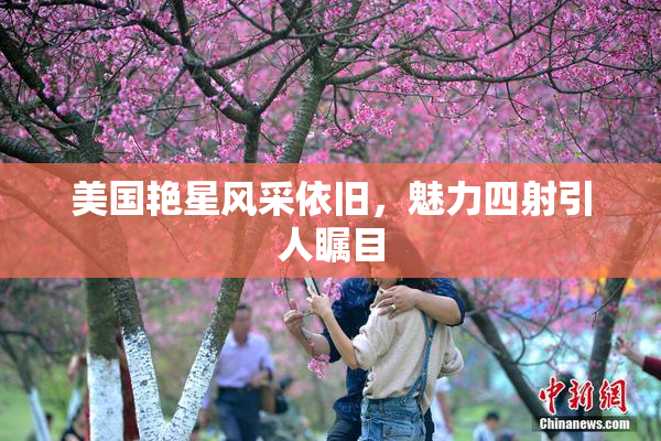 美国艳星风采依旧，魅力四射引人瞩目