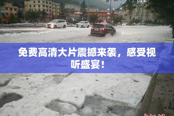 免费高清大片震撼来袭，感受视听盛宴！