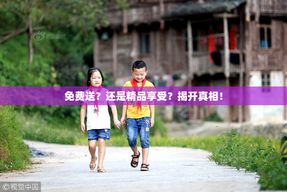免费送？还是精品享受？揭开真相！