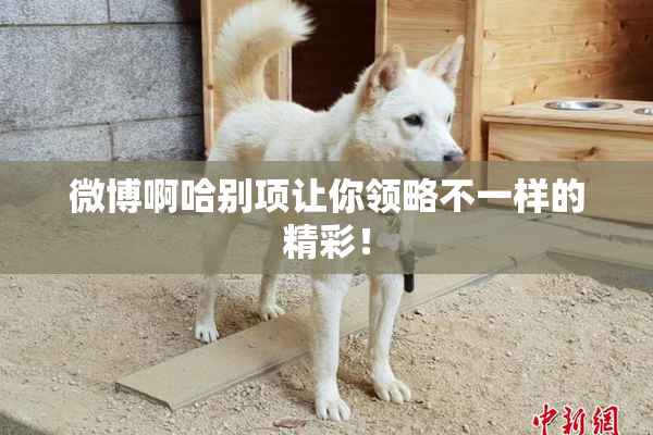 微博啊哈别项让你领略不一样的精彩！