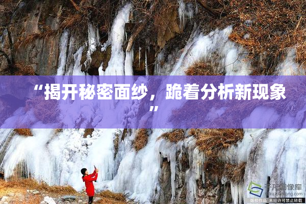 “揭开秘密面纱，跪着分析新现象”