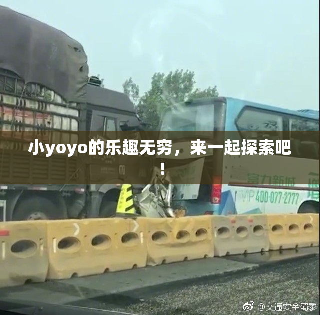 小yoyo的乐趣无穷，来一起探索吧！