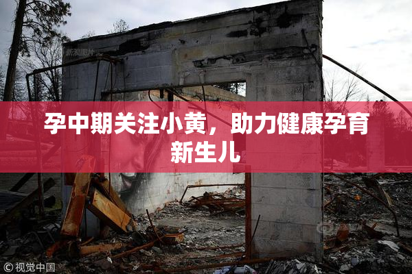 孕中期关注小黄，助力健康孕育新生儿