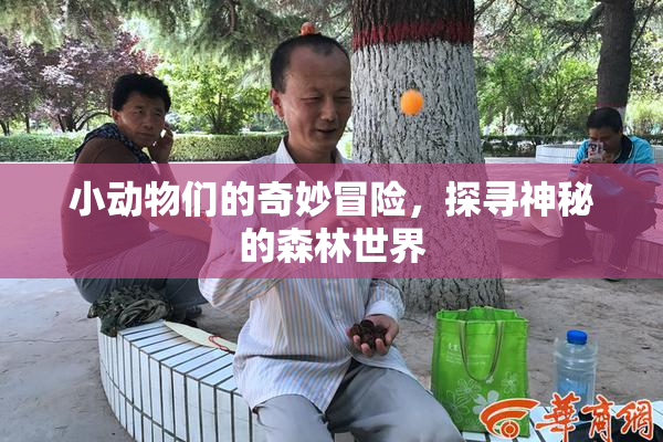 小动物们的奇妙冒险，探寻神秘的森林世界
