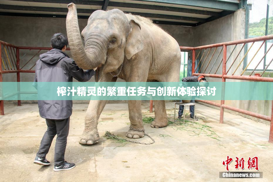 榨汁精灵的繁重任务与创新体验探讨