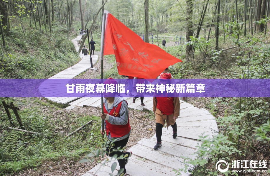 甘雨夜幕降临，带来神秘新篇章