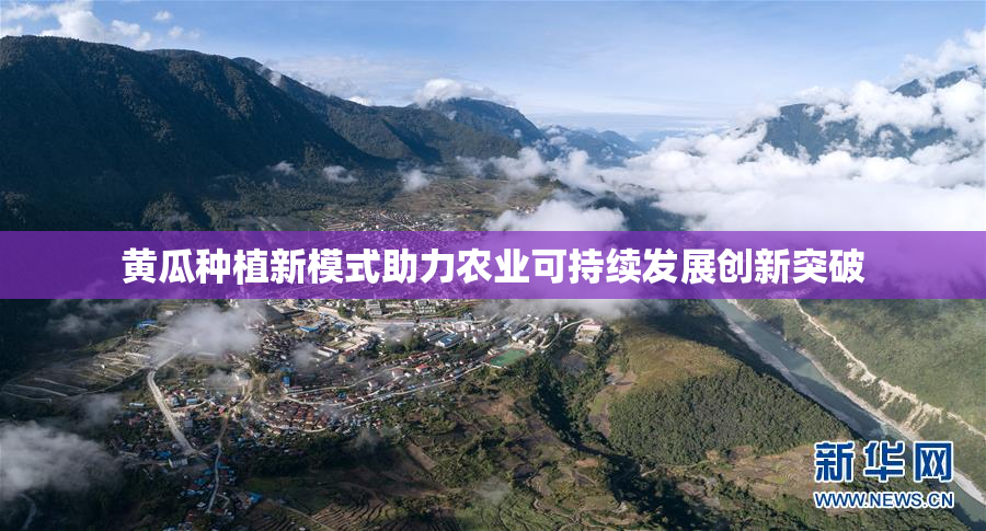 黄瓜种植新模式助力农业可持续发展创新突破