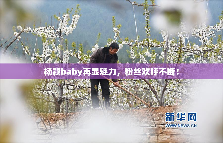 杨颖baby再显魅力，粉丝欢呼不断！