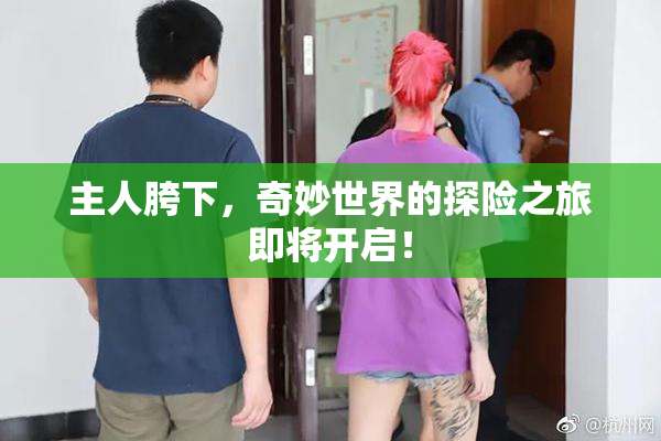 主人胯下，奇妙世界的探险之旅即将开启！