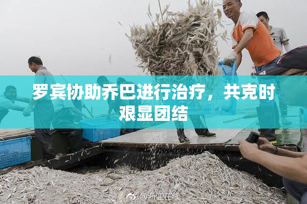 罗宾协助乔巴进行治疗，共克时艰显团结
