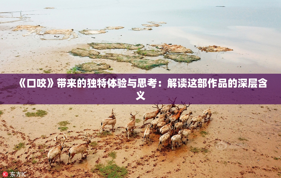 《口咬》带来的独特体验与思考：解读这部作品的深层含义