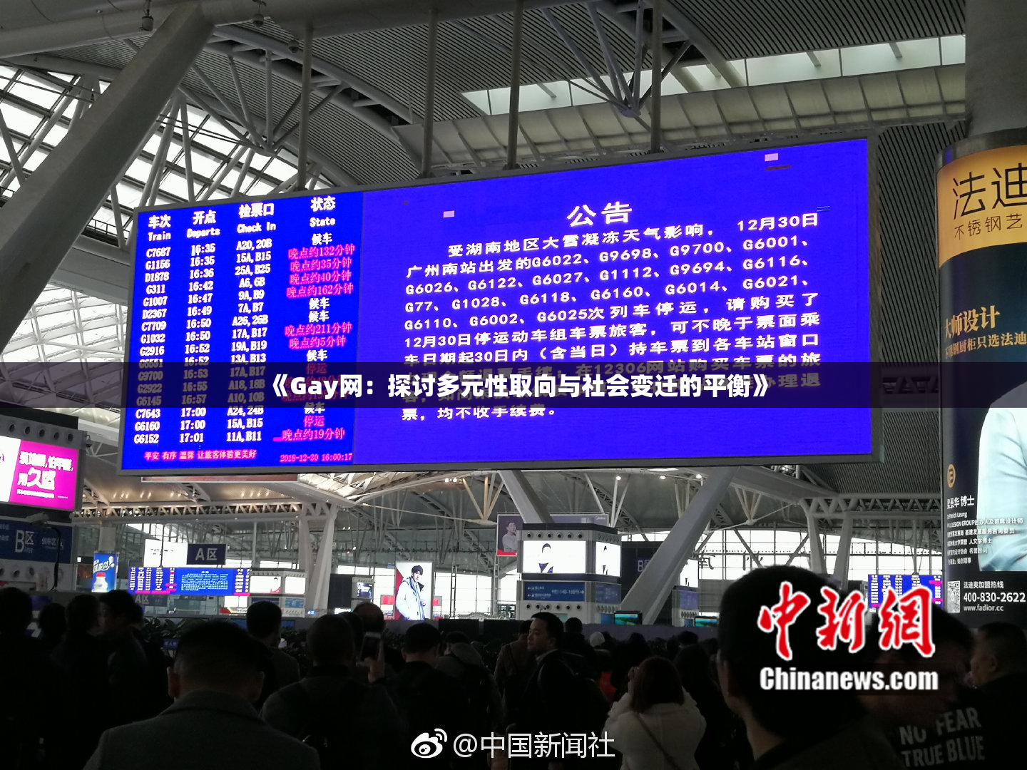《Gay网：探讨多元性取向与社会变迁的平衡》
