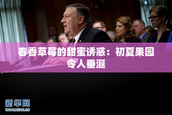 春香草莓的甜蜜诱惑：初夏果园令人垂涎