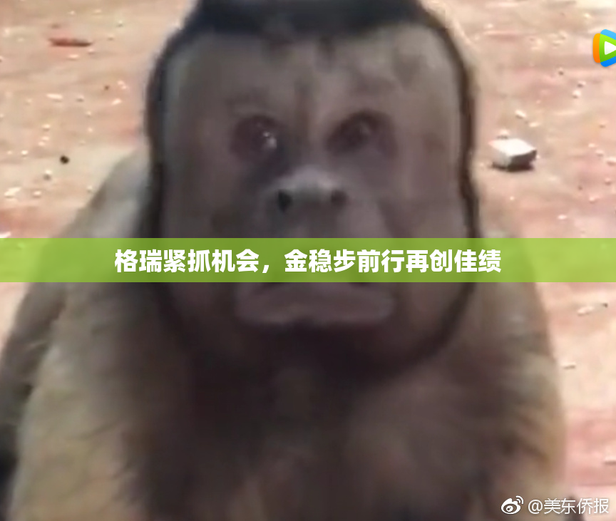 格瑞紧抓机会，金稳步前行再创佳绩