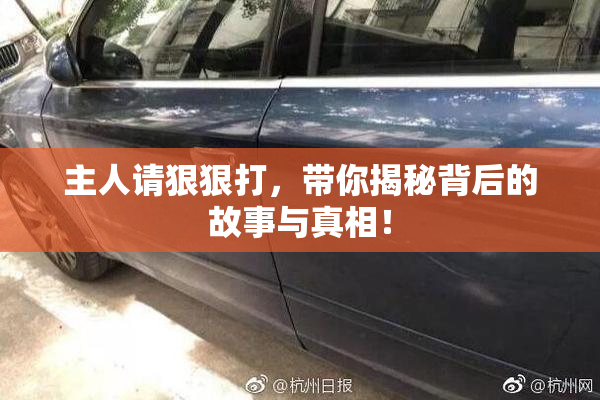 主人请狠狠打，带你揭秘背后的故事与真相！