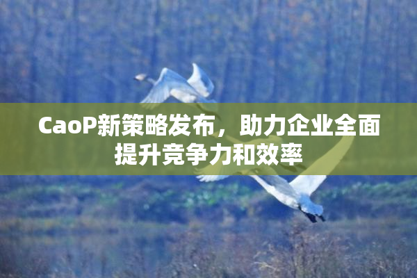 CaoP新策略发布，助力企业全面提升竞争力和效率