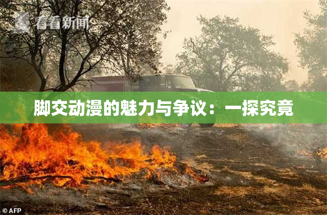 脚交动漫的魅力与争议：一探究竟