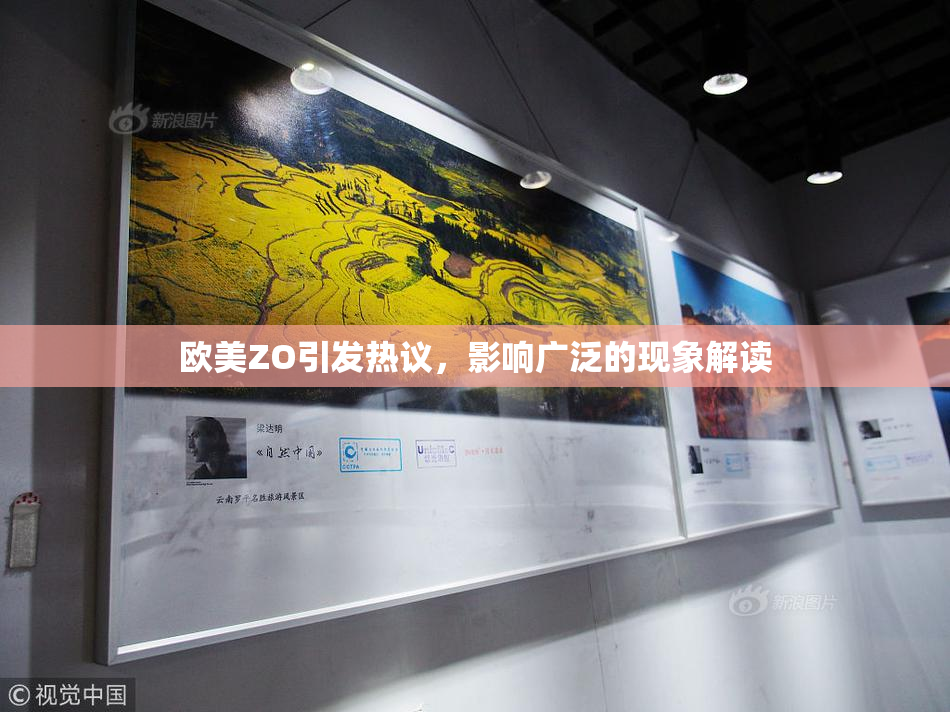 欧美ZO引发热议，影响广泛的现象解读