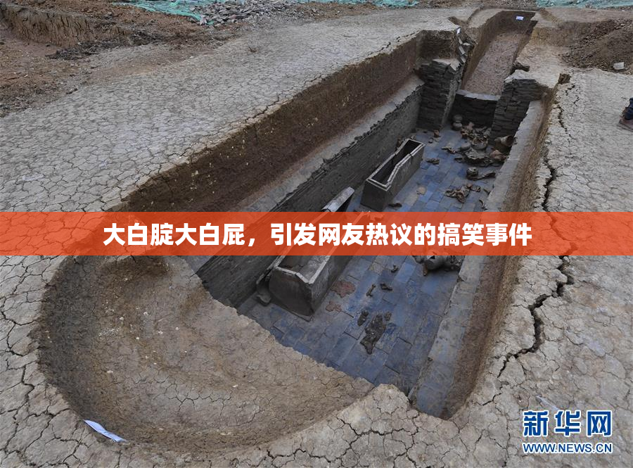 大白腚大白屁，引发网友热议的搞笑事件