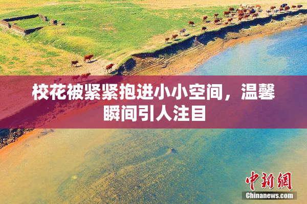 校花被紧紧抱进小小空间，温馨瞬间引人注目