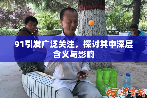 91引发广泛关注，探讨其中深层含义与影响