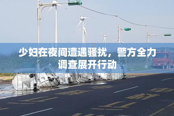 少妇在夜间遭遇骚扰，警方全力调查展开行动