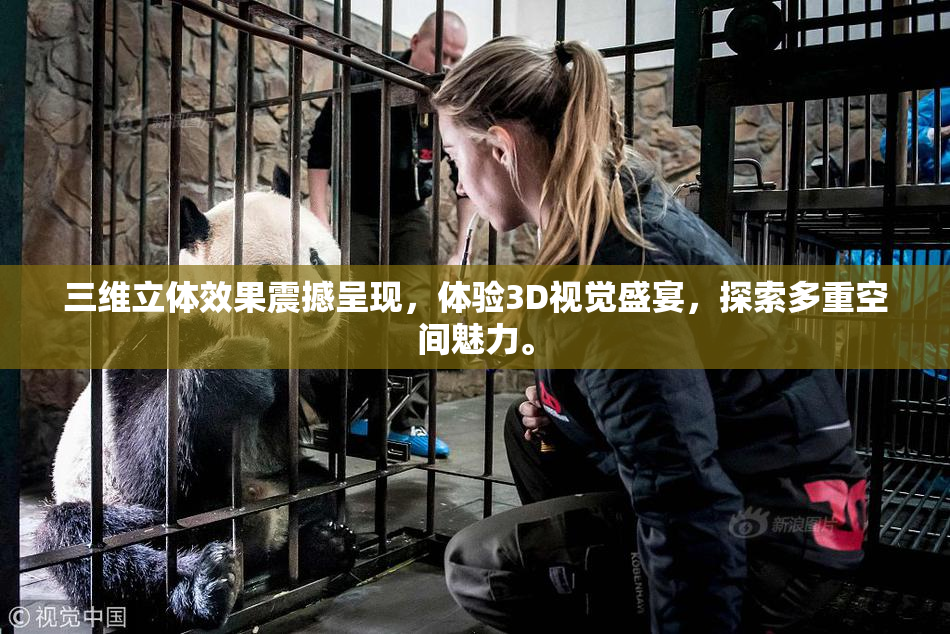 三维立体效果震撼呈现，体验3D视觉盛宴，探索多重空间魅力。
