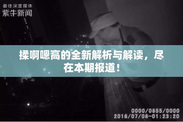 揉啊嗯高的全新解析与解读，尽在本期报道！