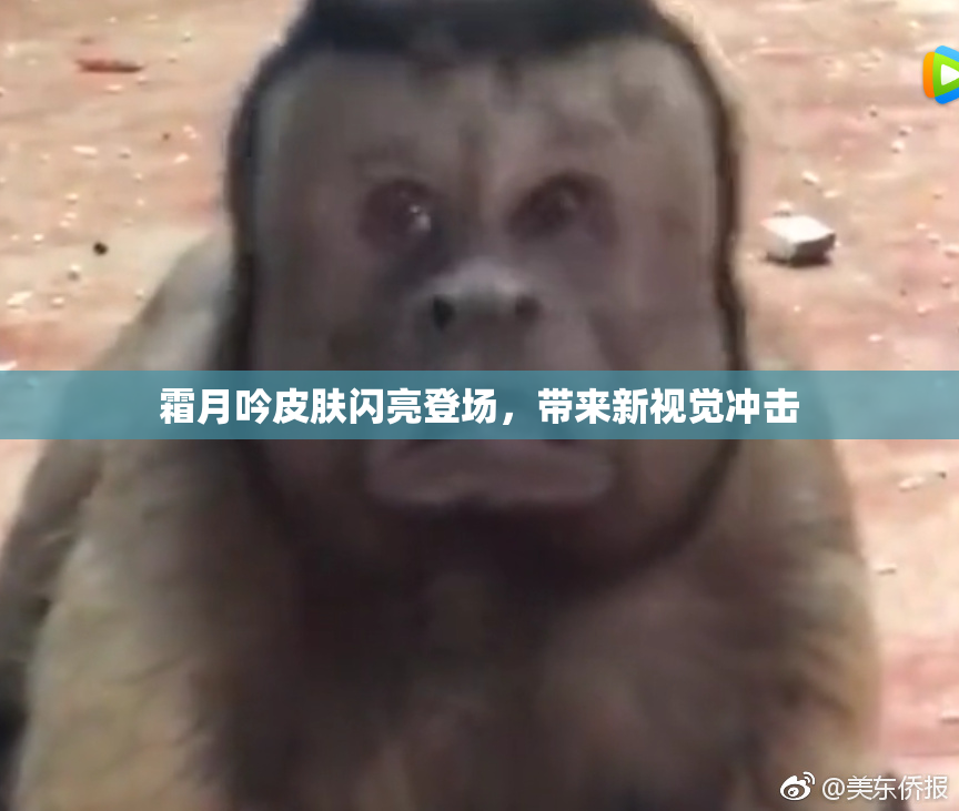 霜月吟皮肤闪亮登场，带来新视觉冲击