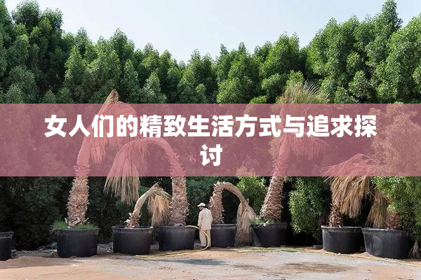 女人们的精致生活方式与追求探讨