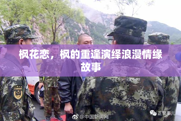 枫花恋，枫的重逢演绎浪漫情缘故事