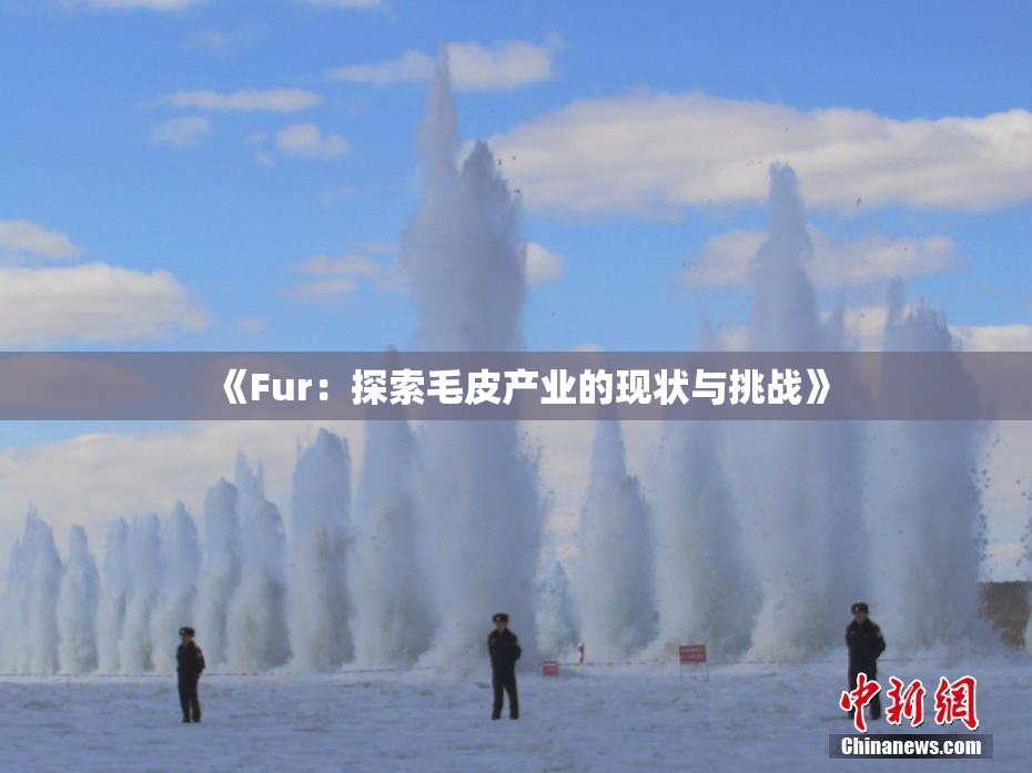 《Fur：探索毛皮产业的现状与挑战》