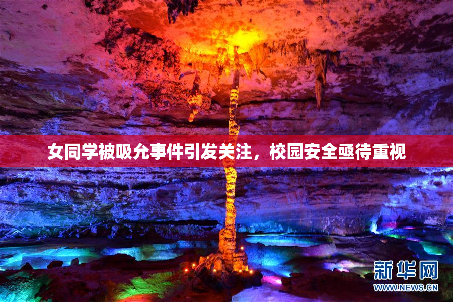 女同学被吸允事件引发关注，校园安全亟待重视